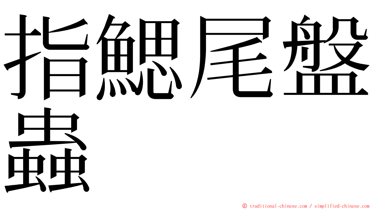 指鰓尾盤蟲 ming font