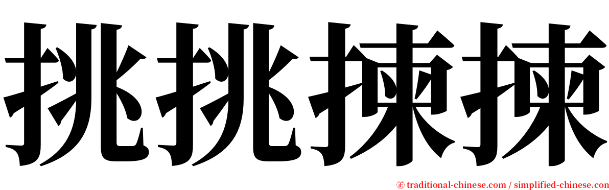 挑挑揀揀 serif font