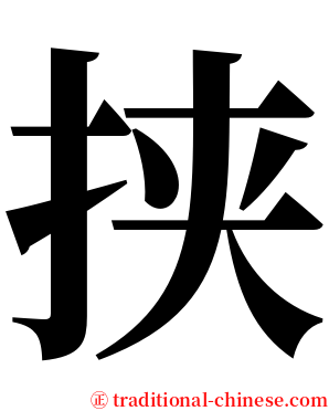 挟 serif font