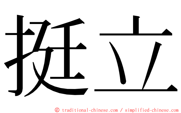 挺立 ming font