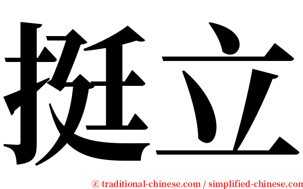 挺立 serif font