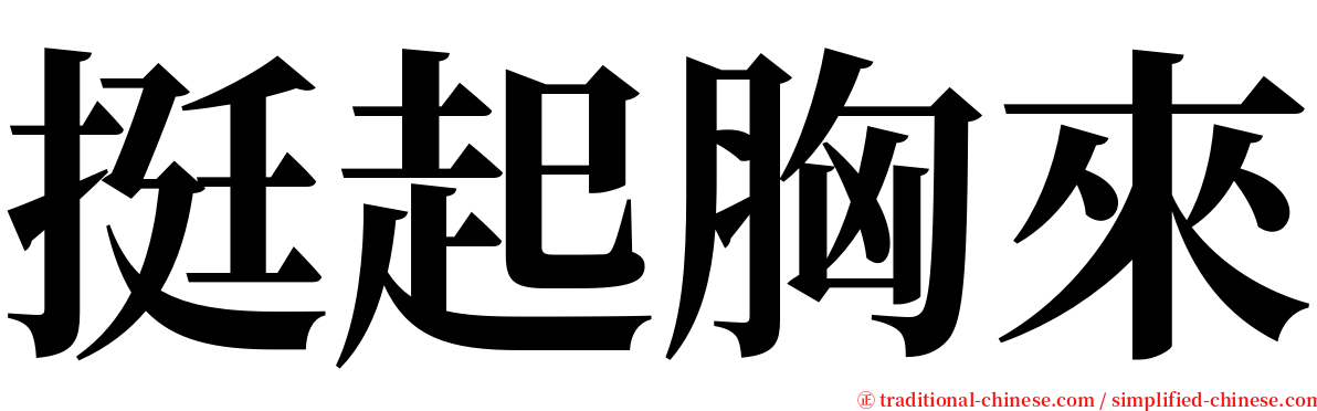 挺起胸來 serif font