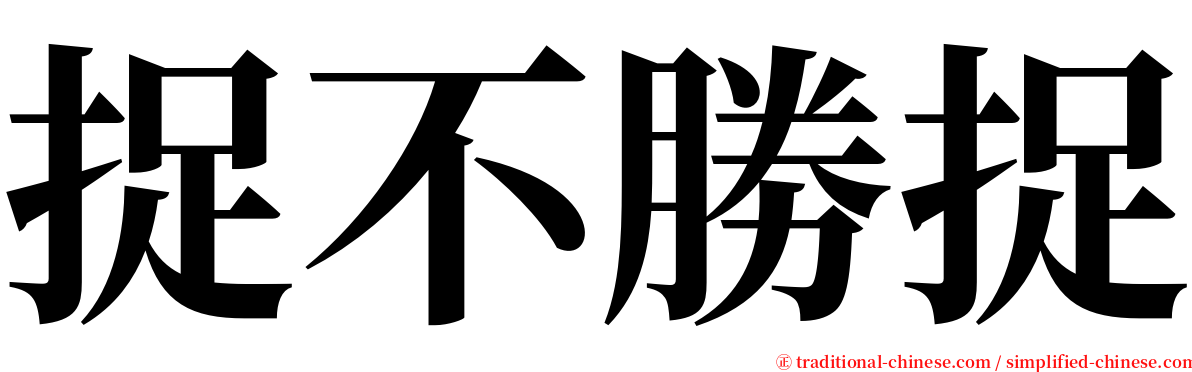 捉不勝捉 serif font