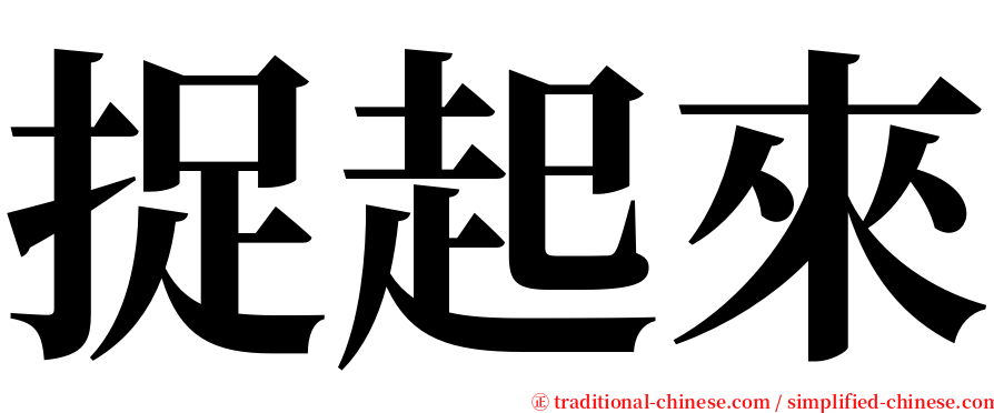 捉起來 serif font