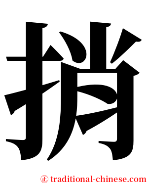 捎 serif font