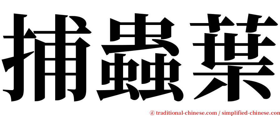 捕蟲葉 serif font