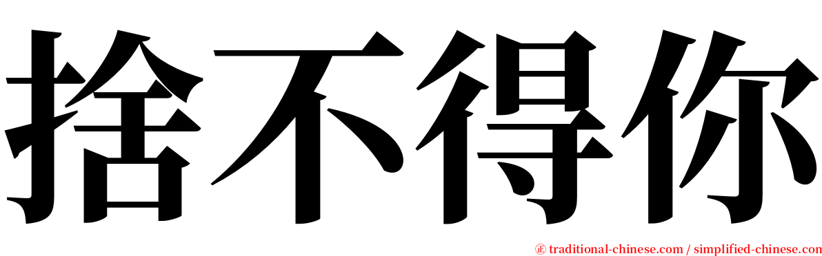 捨不得你 serif font