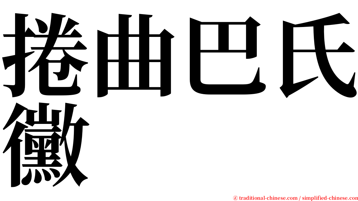 捲曲巴氏黴 serif font