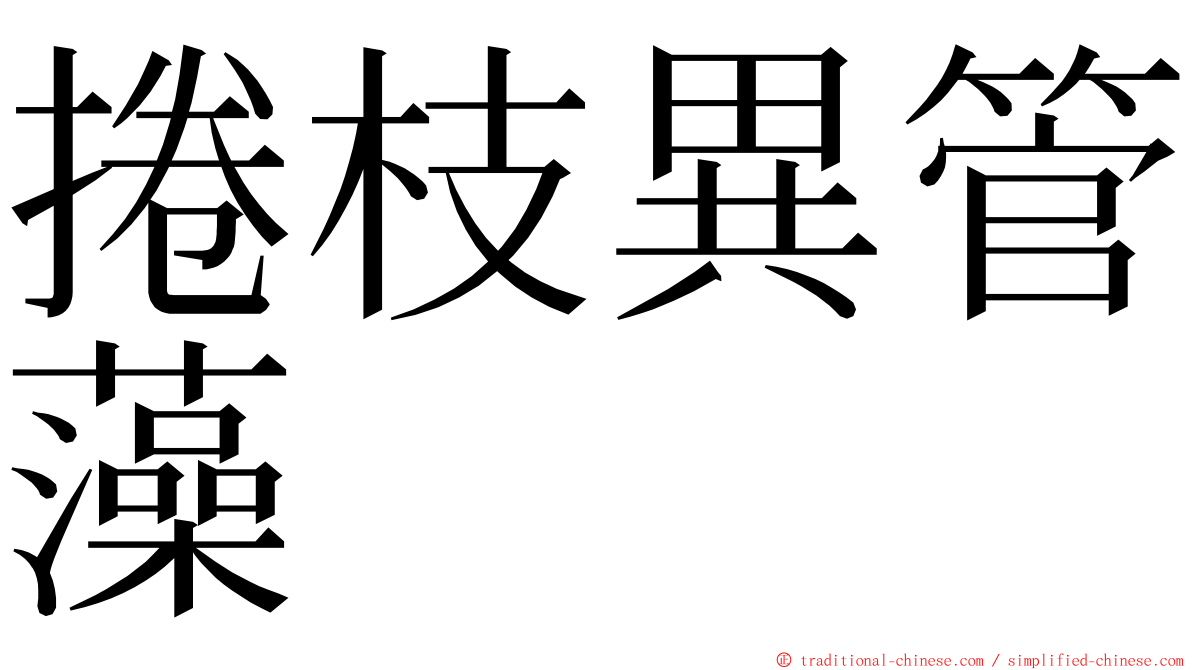 捲枝異管藻 ming font