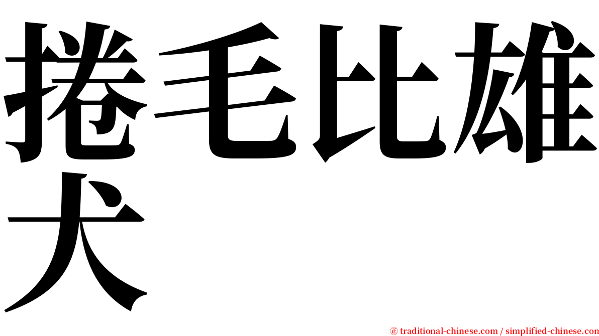 捲毛比雄犬 serif font