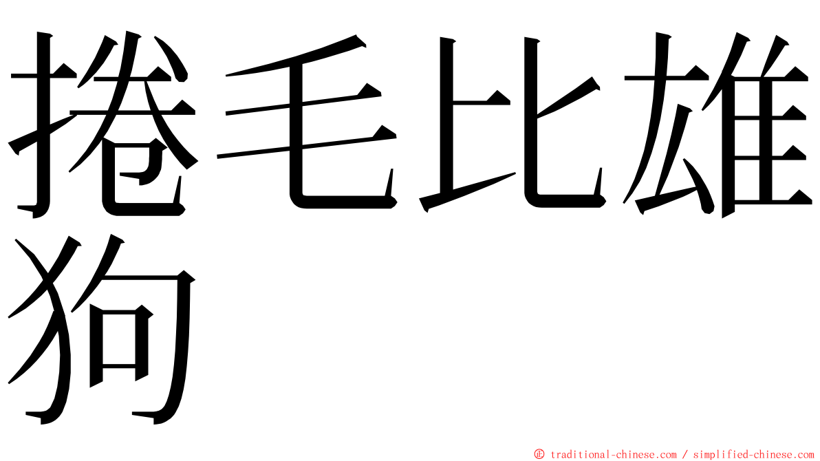 捲毛比雄狗 ming font