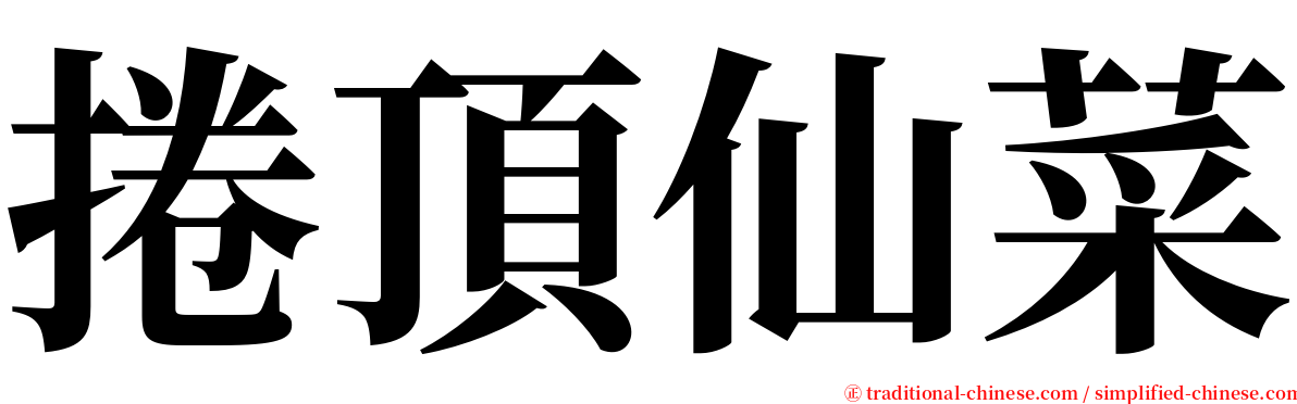 捲頂仙菜 serif font