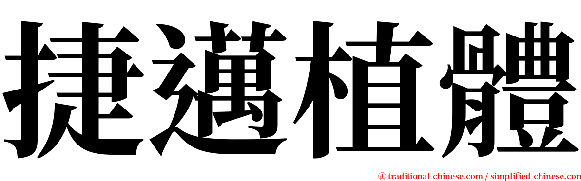 捷邁植體 serif font