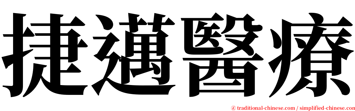 捷邁醫療 serif font