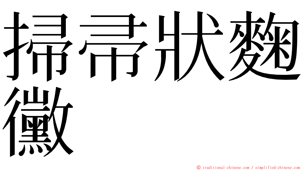 掃帚狀麴黴 ming font