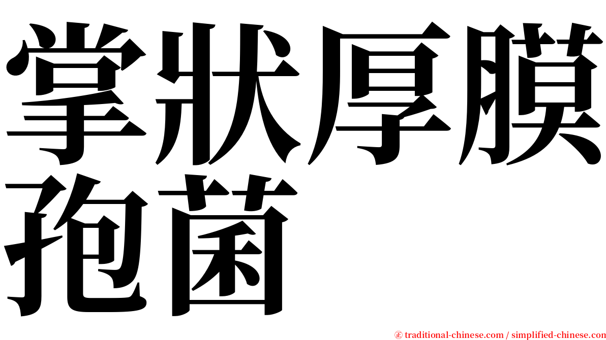 掌狀厚膜孢菌 serif font