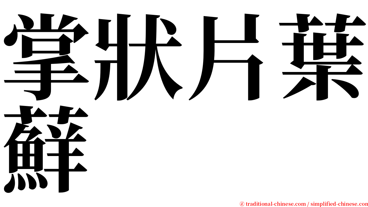 掌狀片葉蘚 serif font