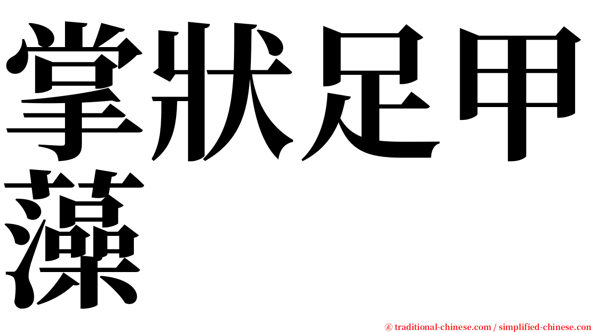 掌狀足甲藻 serif font