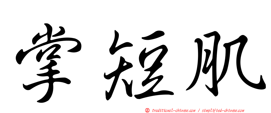 掌短肌