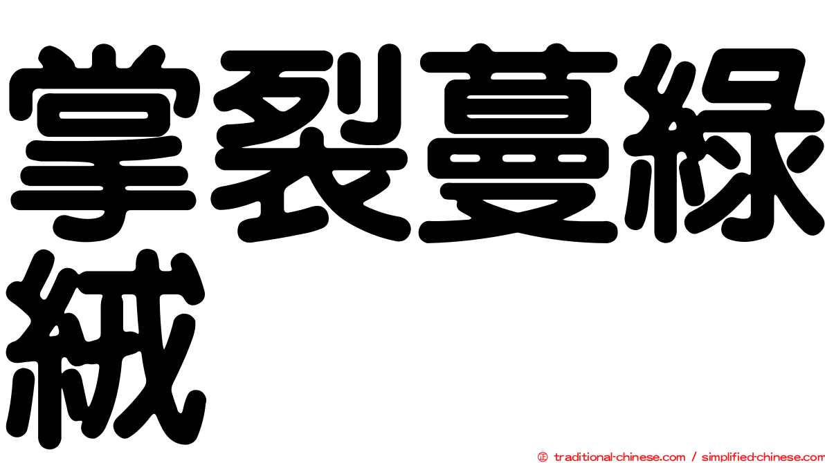 掌裂蔓綠絨