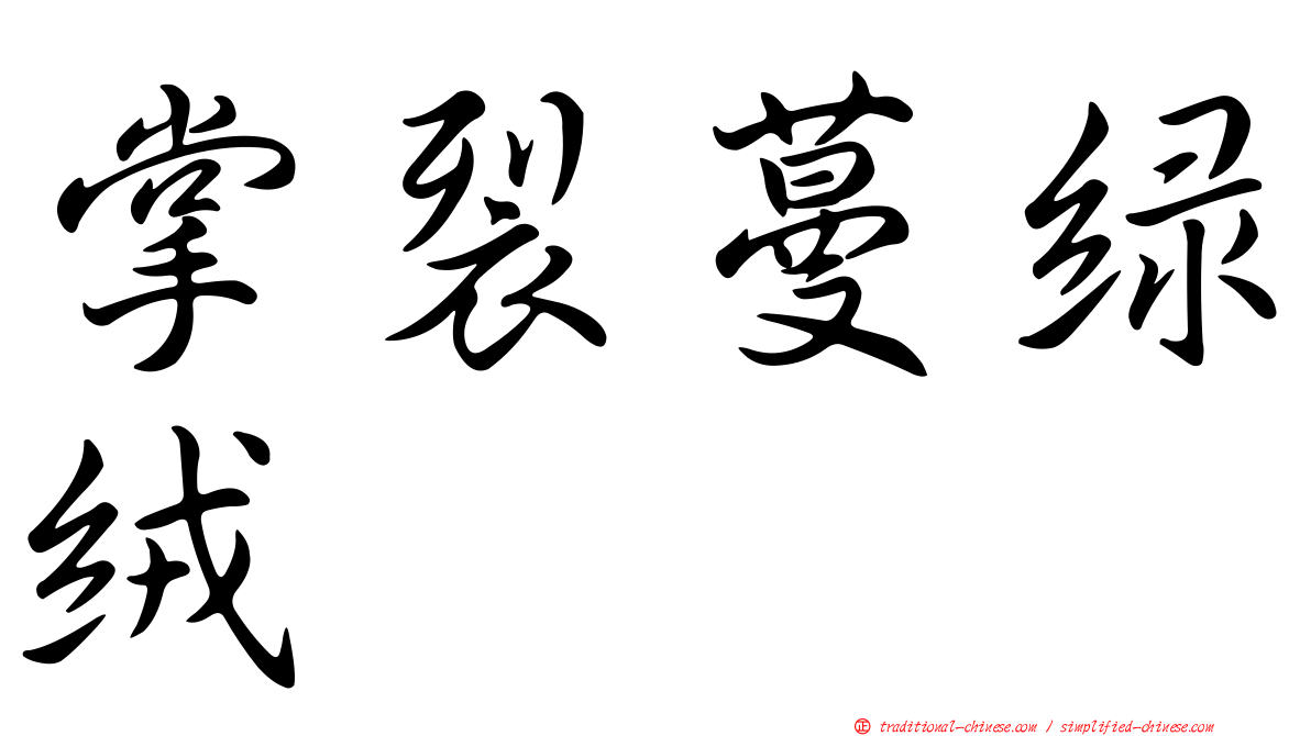 掌裂蔓綠絨
