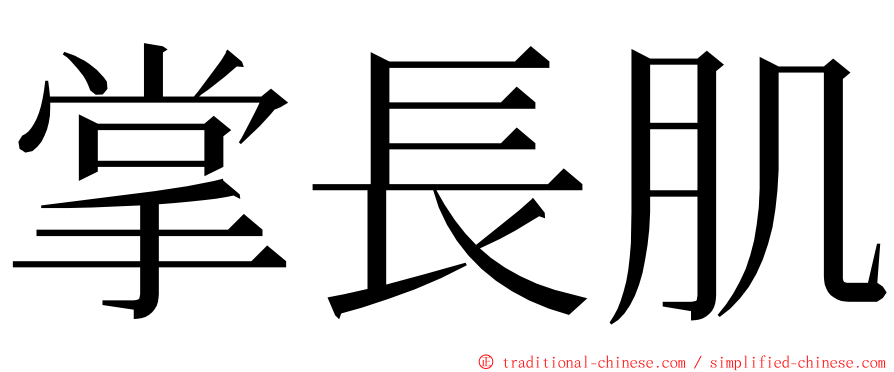 掌長肌 ming font