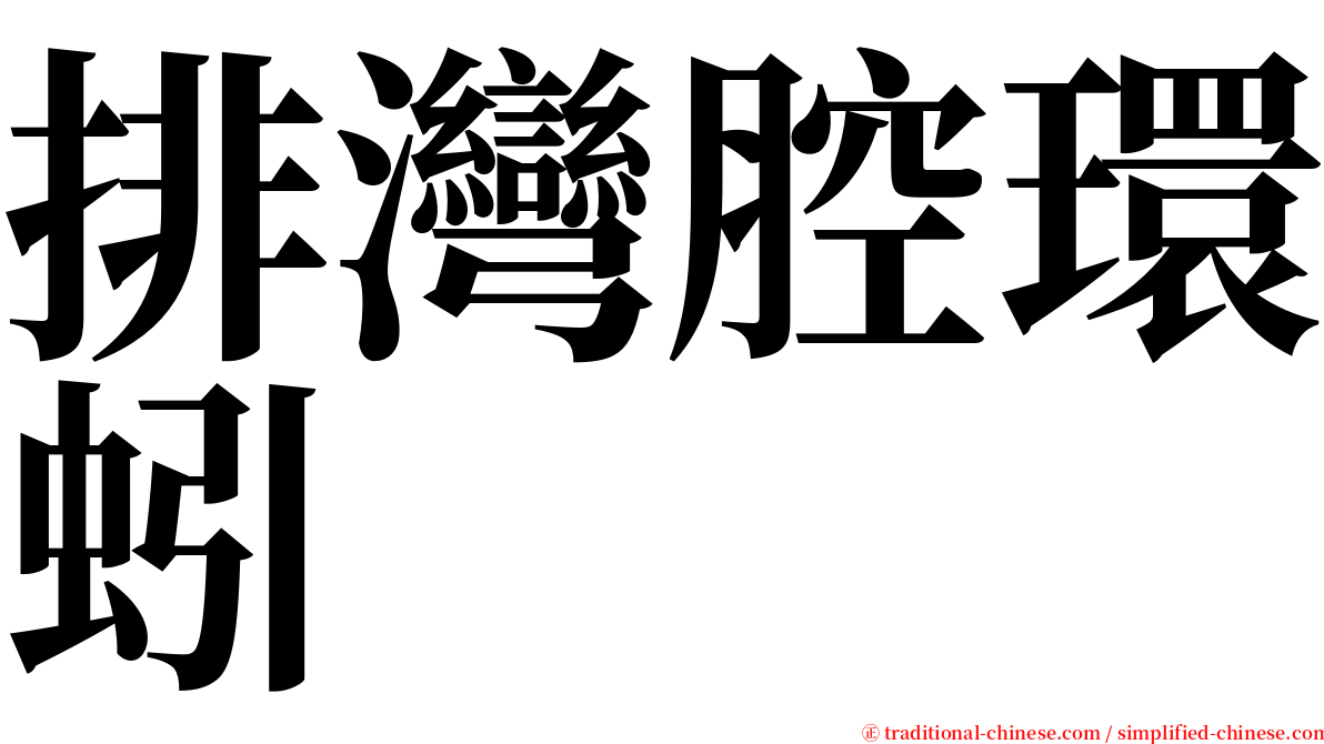 排灣腔環蚓 serif font