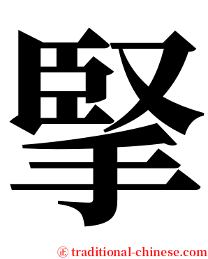 掔 serif font