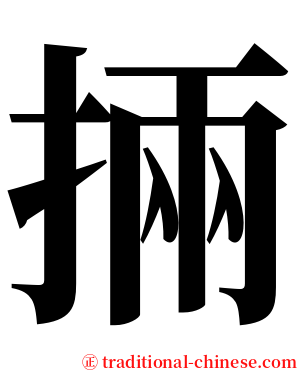 掚 serif font