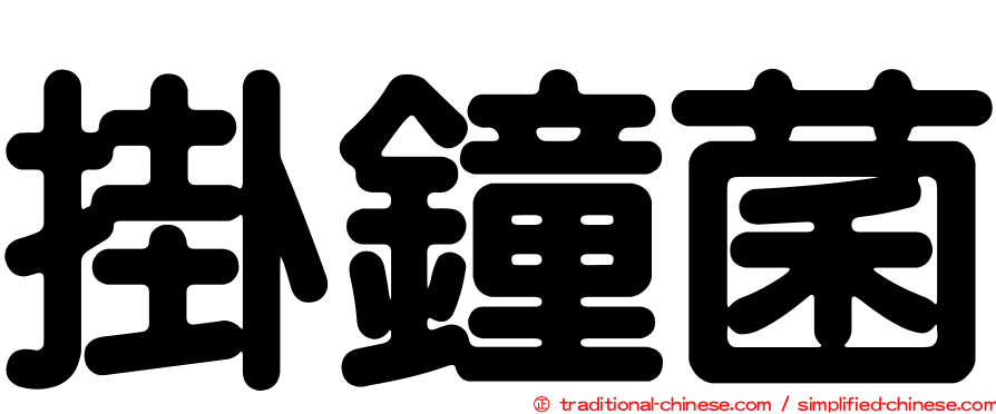 掛鐘菌
