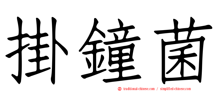 掛鐘菌