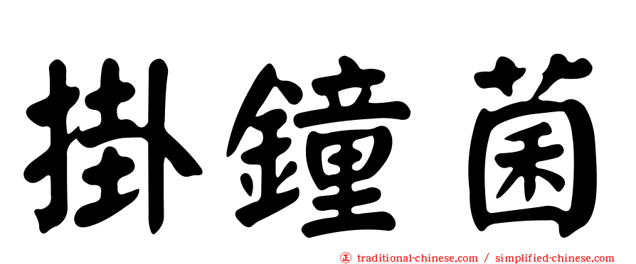 掛鐘菌