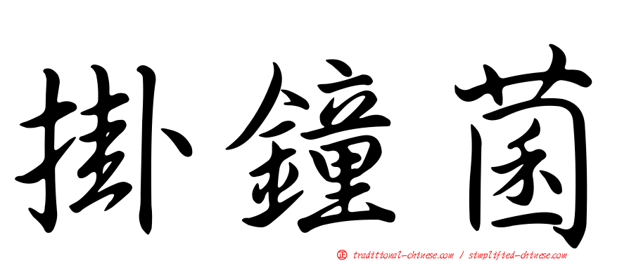 掛鐘菌