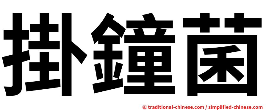 掛鐘菌