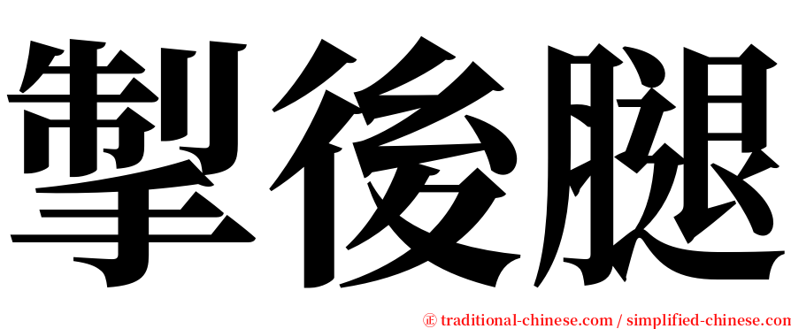 掣後腿 serif font