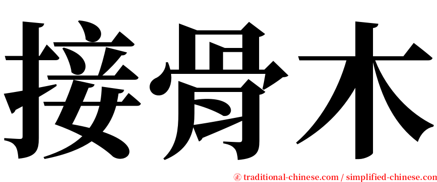 接骨木 serif font