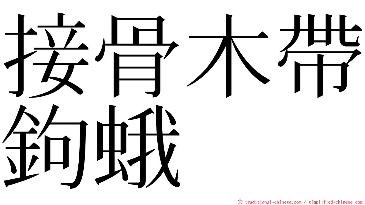 接骨木帶鉤蛾 ming font