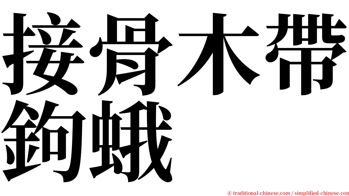 接骨木帶鉤蛾 serif font