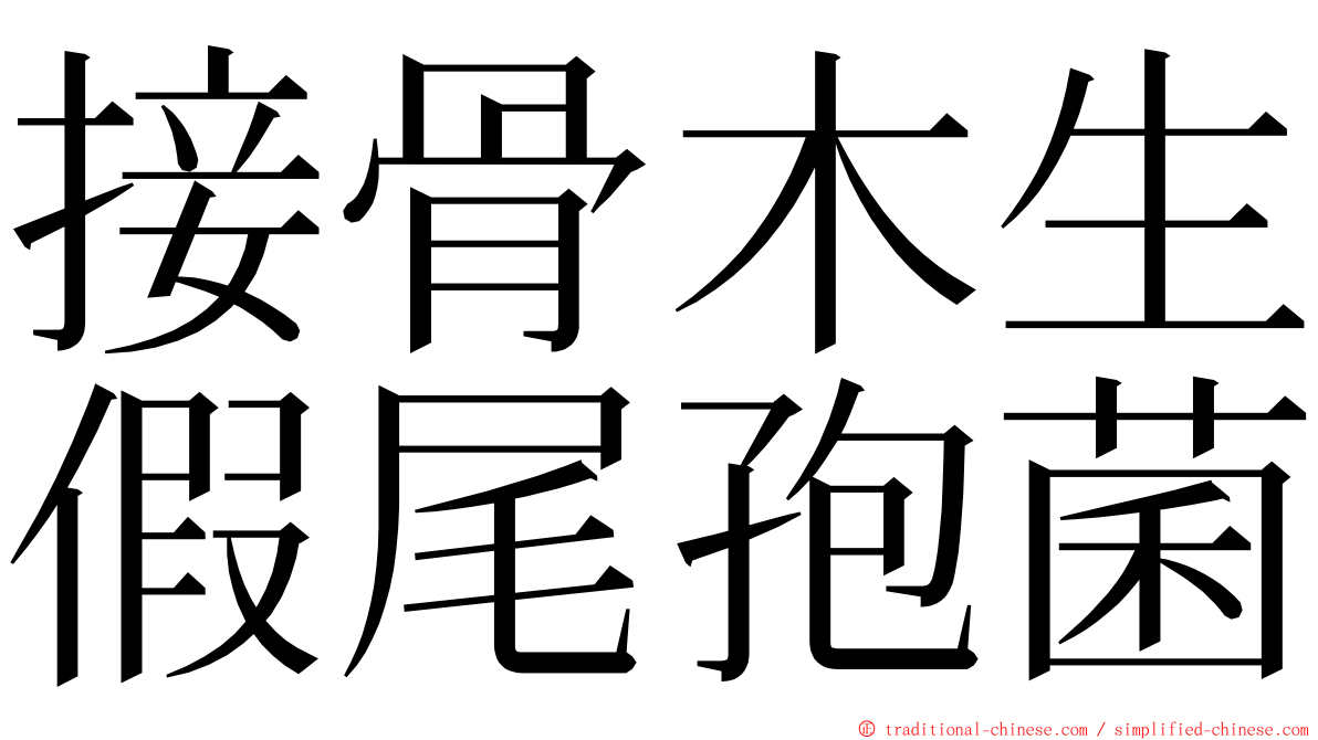 接骨木生假尾孢菌 ming font