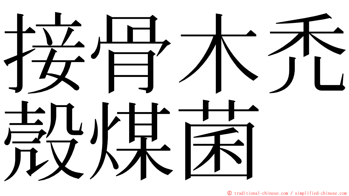 接骨木禿殼煤菌 ming font