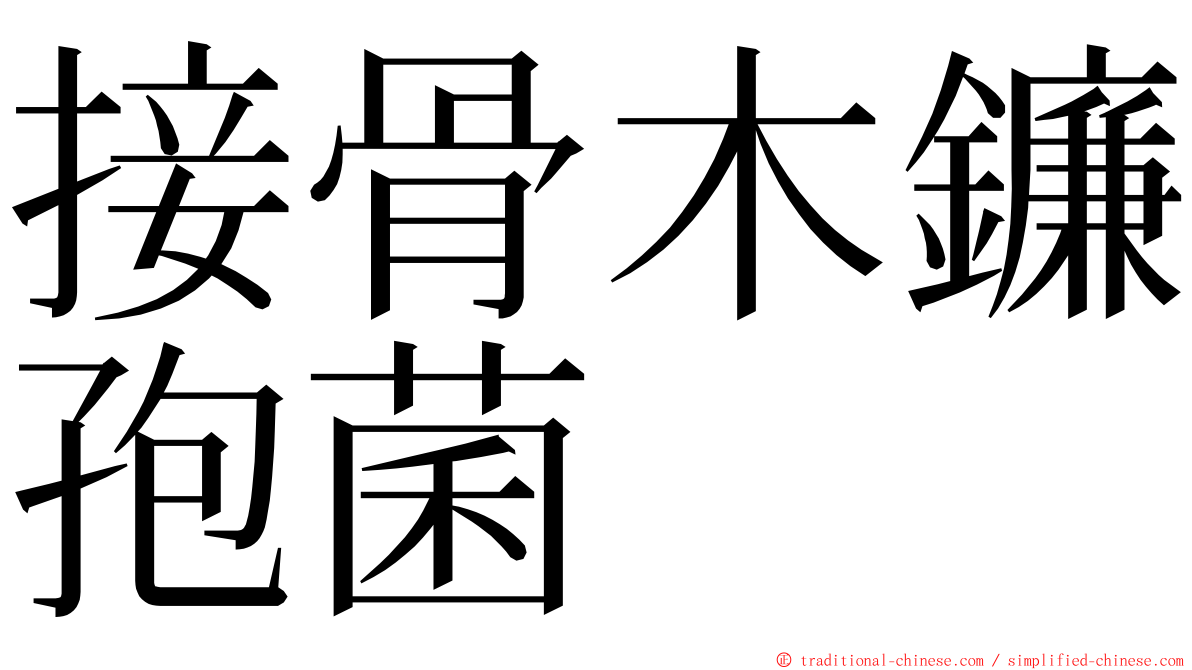 接骨木鐮孢菌 ming font