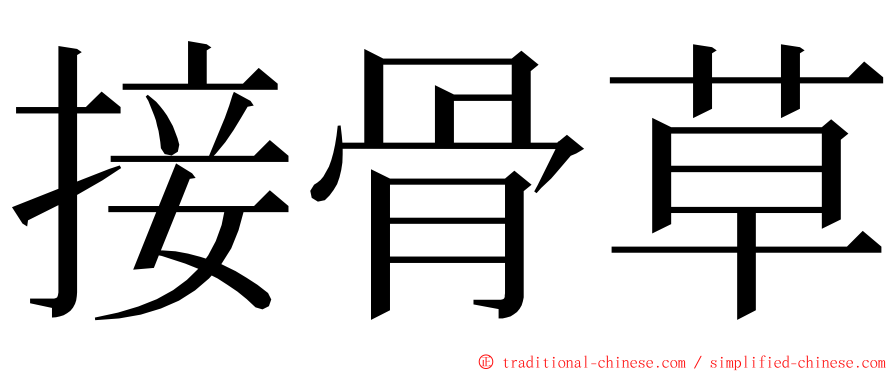 接骨草 ming font