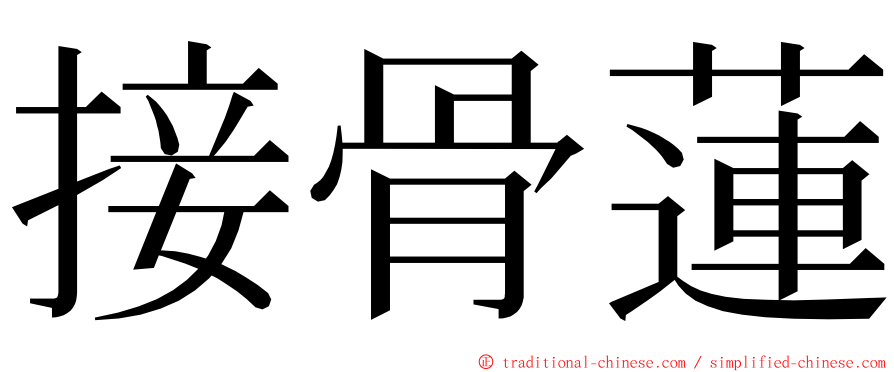 接骨蓮 ming font