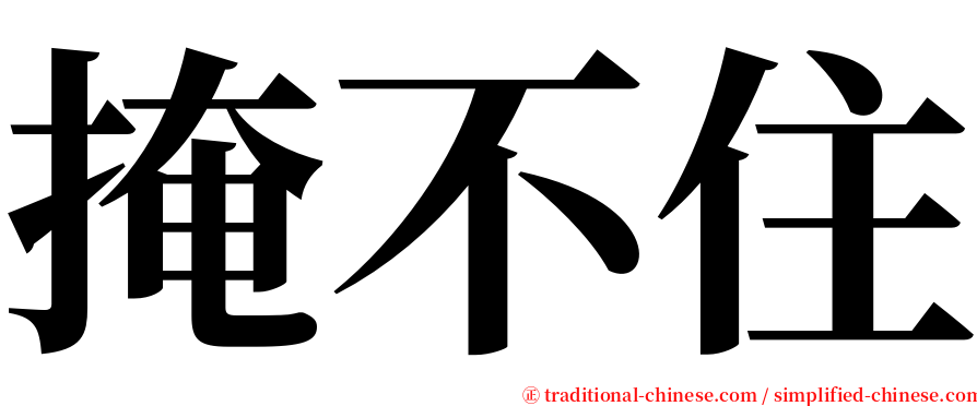 掩不住 serif font