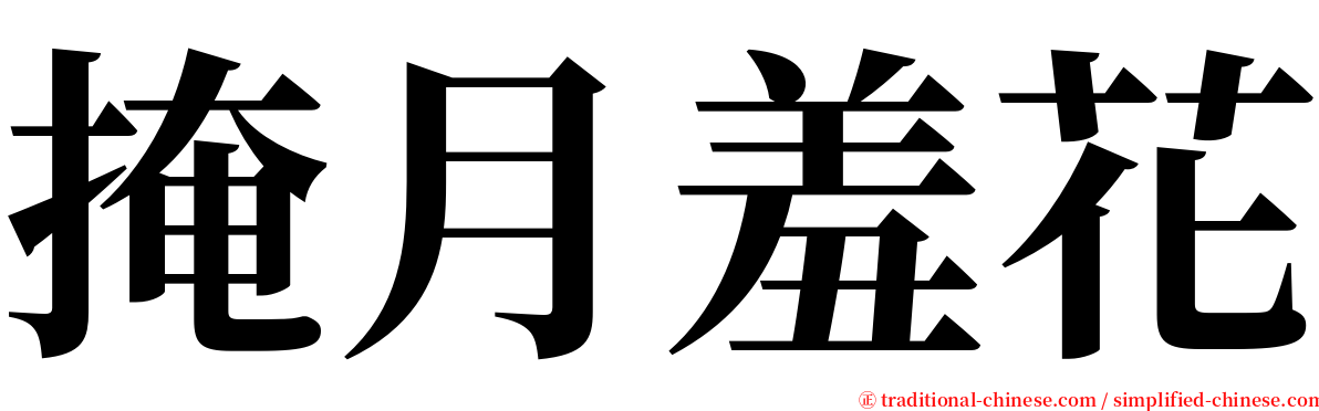 掩月羞花 serif font