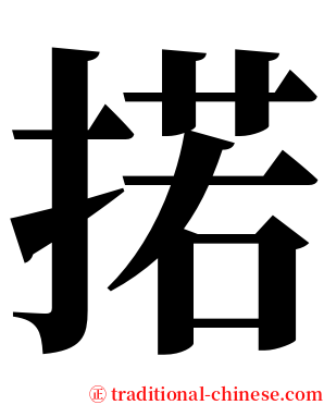 掿 serif font