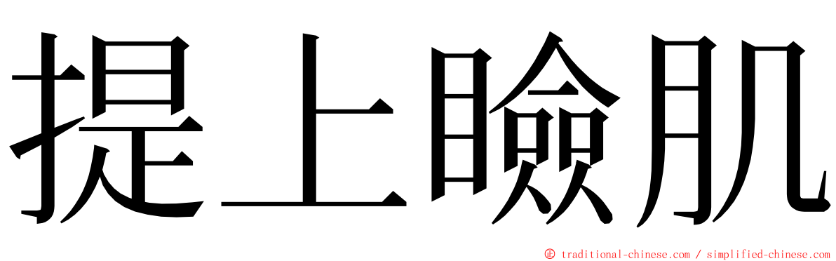 提上瞼肌 ming font