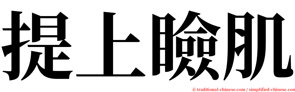 提上瞼肌 serif font