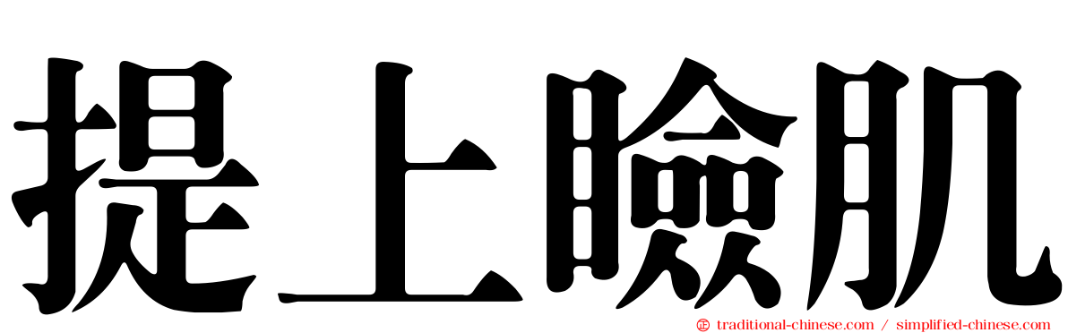 提上瞼肌