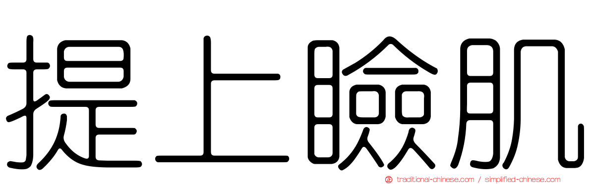提上瞼肌